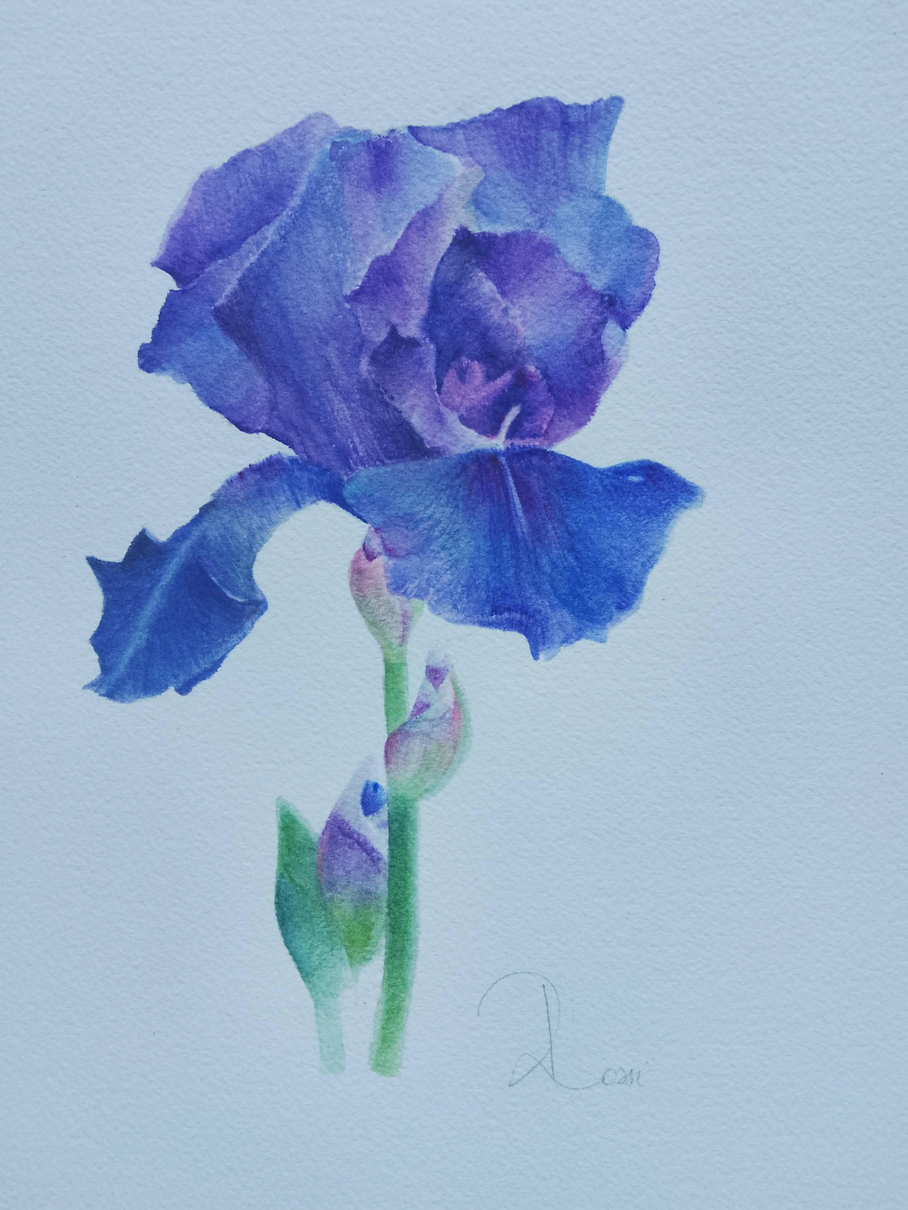 atelier d art belgique, cours de peinture et d'aquarelle