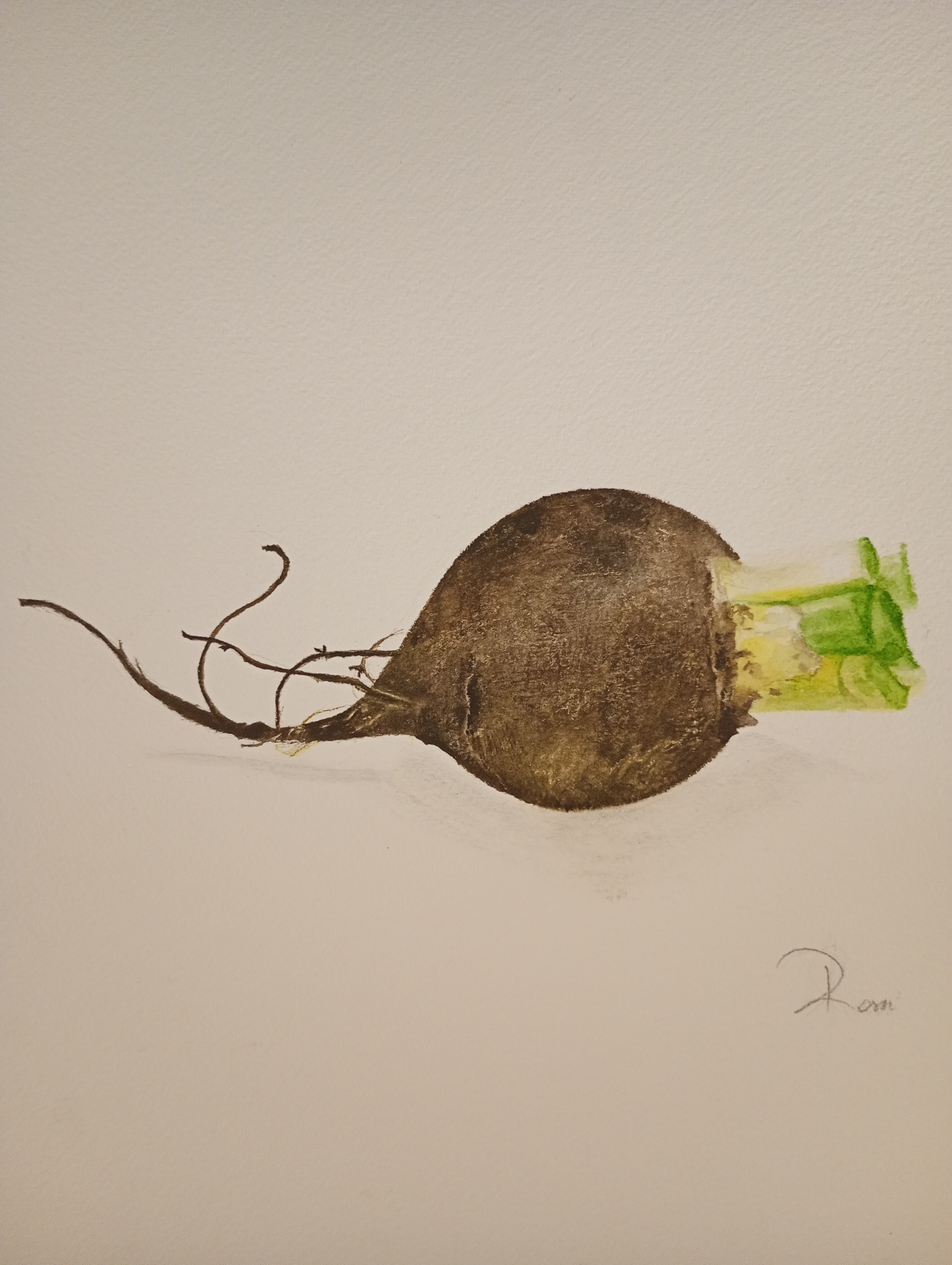 atelier d art La Roche en Ardenne, cours de peinture et d'aquarelle,atelier Marie Rossi