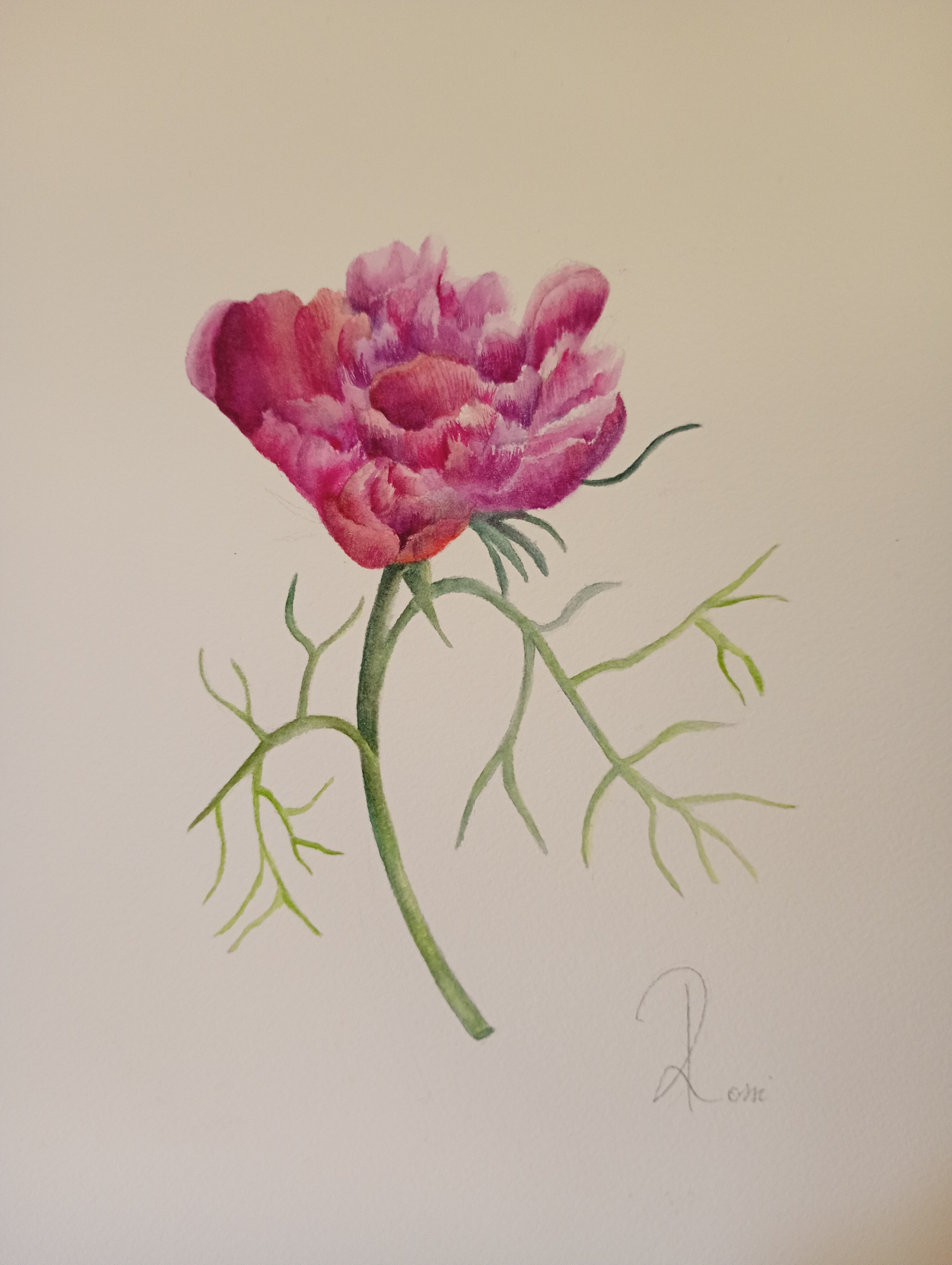 cours de peinture et d'aquarelle  belgique, atelier Marie Rossi,La Roche en Ardenne