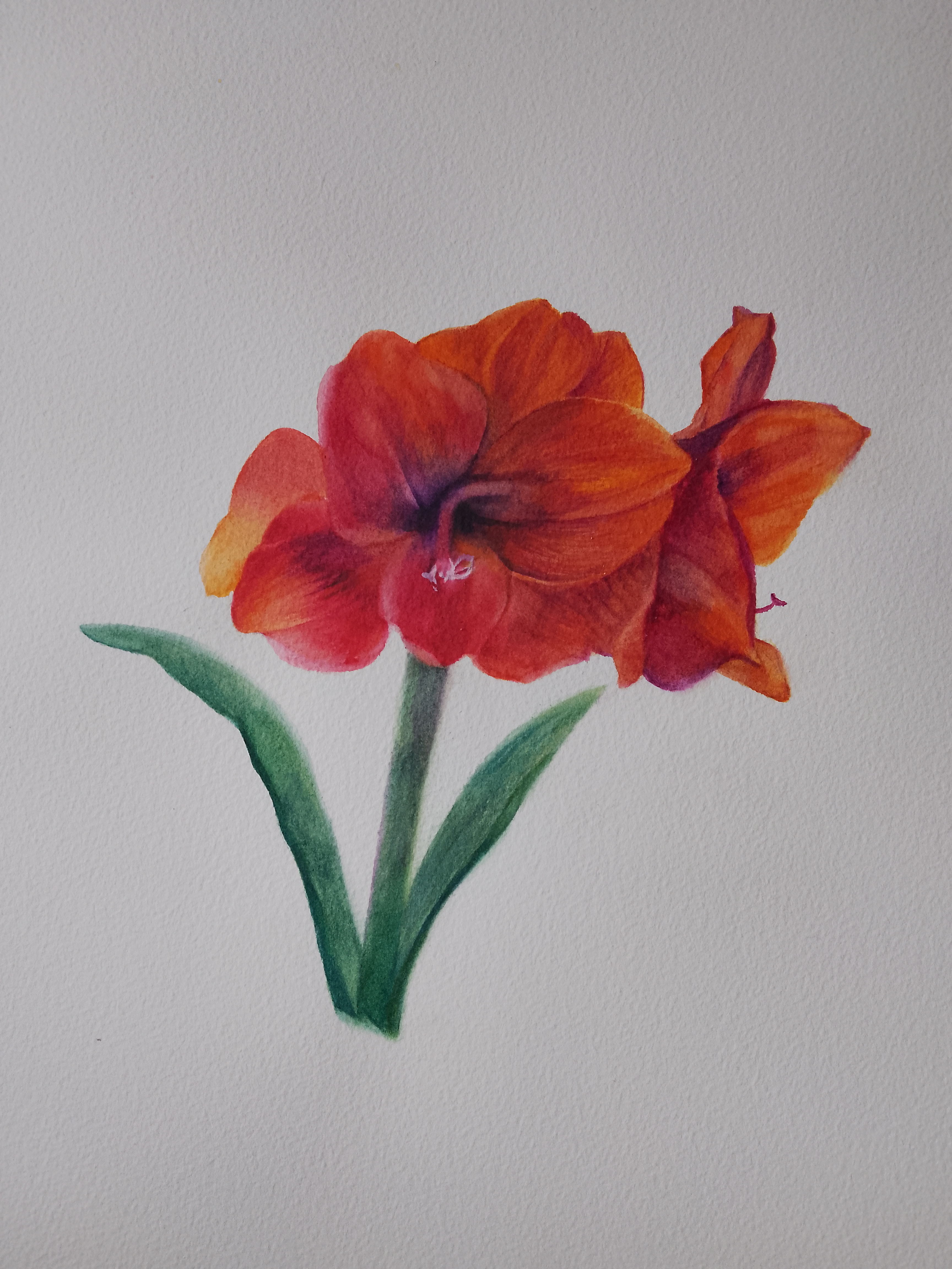 cours de peinture et d'aquarelle  belgique, atelier Marie Rossi,La Roche en Ardenne