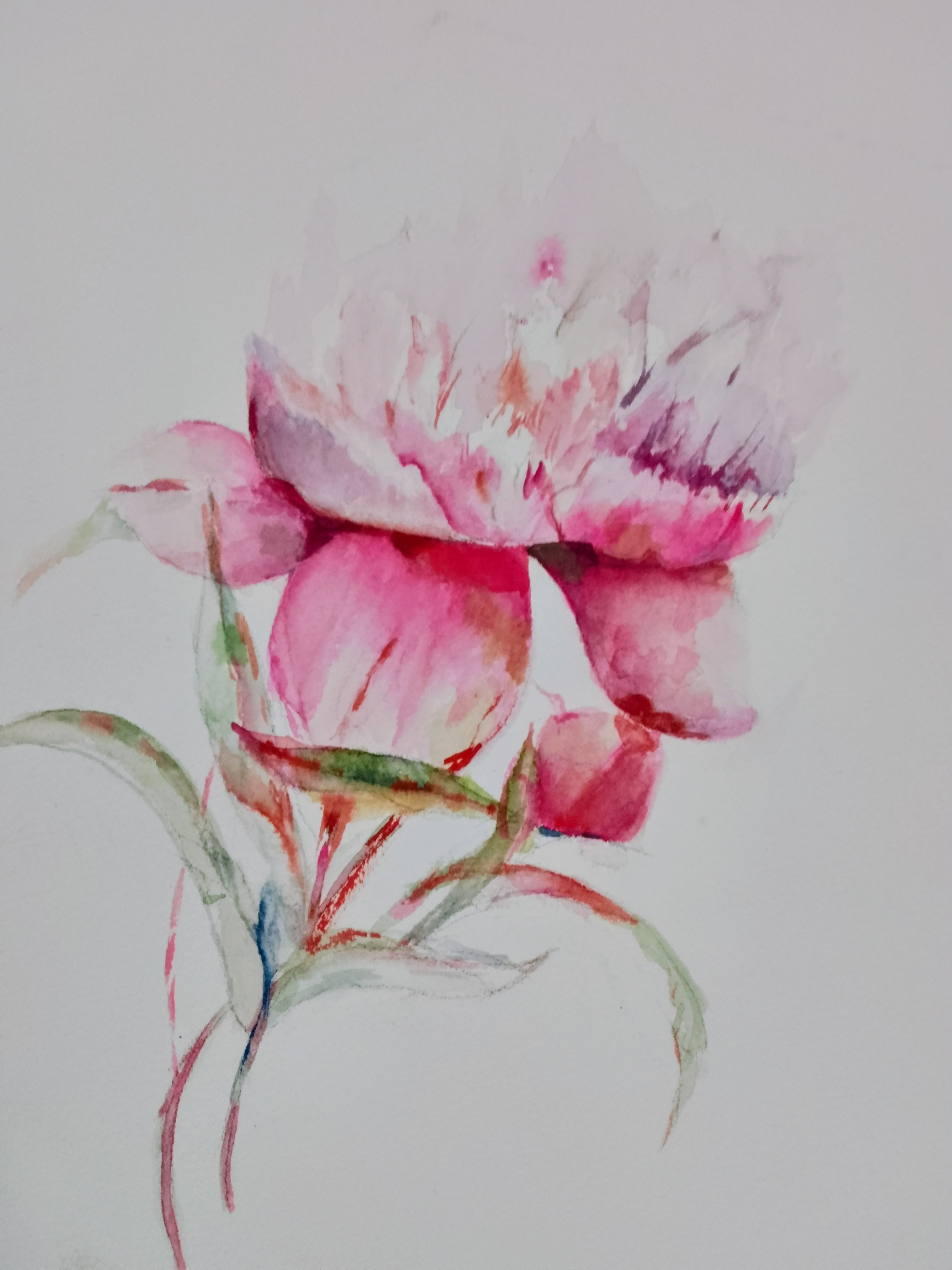 cours de peinture et d'aquarelle  belgique, atelier Marie Rossi,La Roche en Ardenne