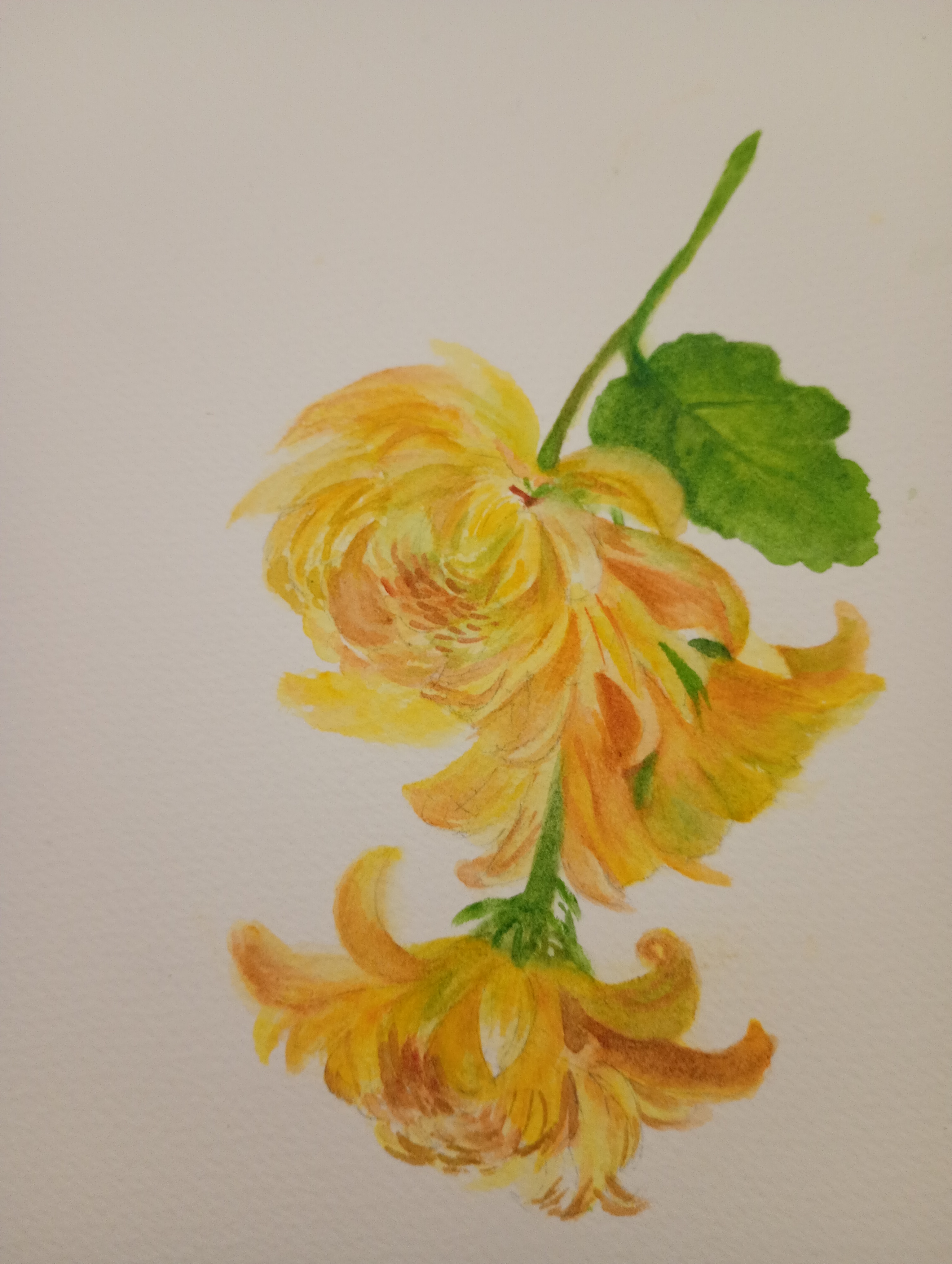 cours de peinture et d'aquarelle  belgique, atelier Marie Rossi,La Roche en Ardenne