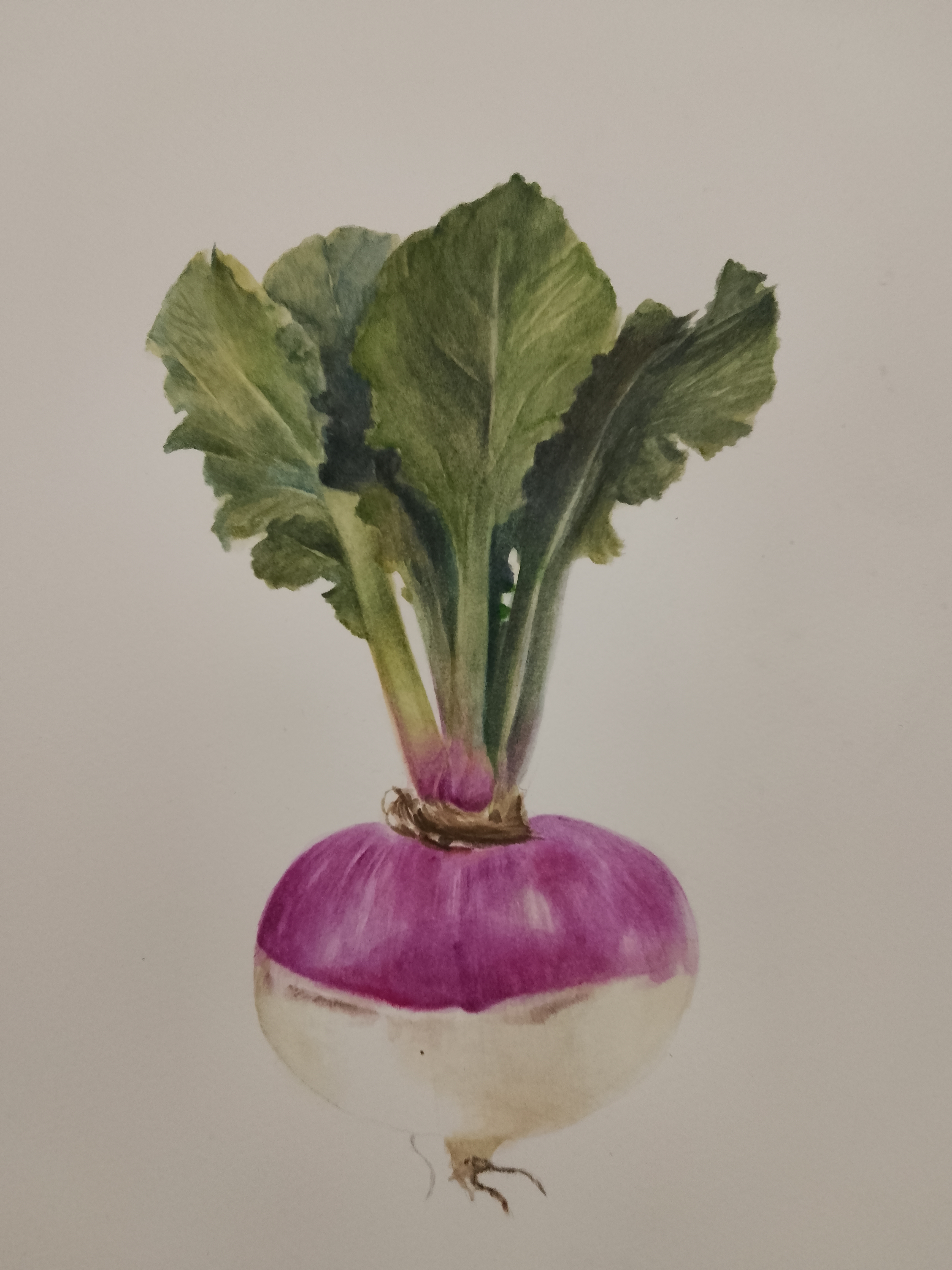 cours de peinture et d'aquarelle  belgique, atelier Marie Rossi,La Roche en Ardenne